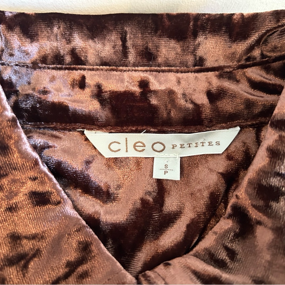Cleo Crushed Velvet Button Down Shirt in Rich Brown - Picture 5 of 8